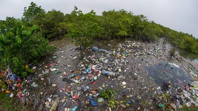Runner Up, Mangroves & Conservation, Srikanth Mannepuri, India. Photo: Srikanth Mannepuri / Mangrove Photography Awards