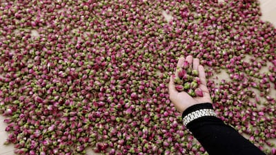 Experts swear by its therapeutic properties in fighting infection and as a relaxant, and rose water is used across the Middle East both as a refreshing drink, in Oriental sweets such as Turkish delight, to scent mosques and even to bestow luck at weddings.