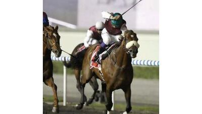 Il Grande Maurizio's hat-trick of wins makes him a strong contender for the President's Cup.