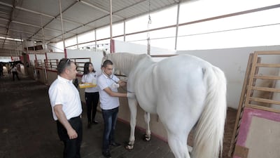 Shurrab owns a private pharmaceutical company and also runs the club. Courtesy Fady Hanona.