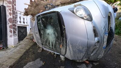 A dog guards a car's compartment after a massive avalanche of mud and debris hit the town of Casamicciola Terme in Italy following intense rain. EPA