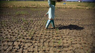 A farmer walks through a dry paddy field in Aceh Besar, Aceh region, Indonesia. Hotli Simanjuntak / EPA