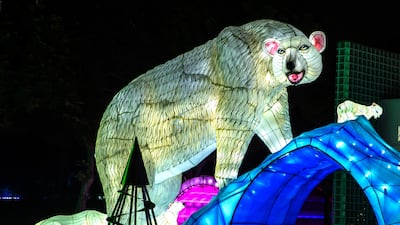 Take a picture with a polar bear ...