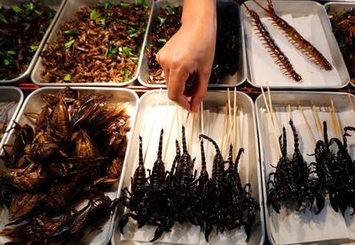 Insects as mainstream meat substitutes. EPA