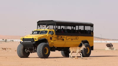Visitors view animals from inside a vehicle during their visit to Riyadh Safari.