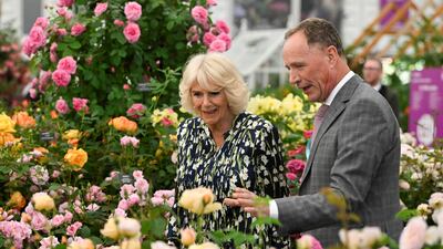 Queen Camilla views roses with David Austin at the Chelsea Flower Show. Getty