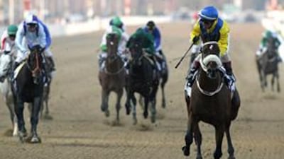 Asiatic Boy will be one of the horses to watch out for at the Dubai World Cup later this year.