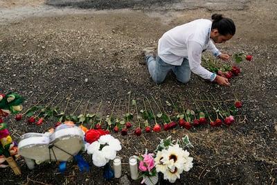 Carlow Espina places roses at a makeshift memorial on the site where officials found dozens of dead in a trailer that contained suspected migrants. AP