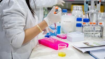 A general view of the ICBA. Photo: Rashed Al Mansoori / Ministry of Presidential Affairs