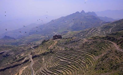 Coffee farms in the Haraz Mountains sit at altitudes of 1,800 metres to 2,450 metres above sea level. Courtesy People's Coffee