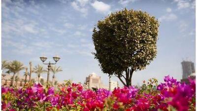 Despite being in the middle of a desert, Abu Dhabi has managed to turn much of itself green. Above, the front grounds of Emirates Palace.