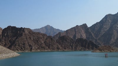 Researchers scoured bodies of water across the Emirates to uncover the tiny creature. Photo: Prof Waleed Hamza