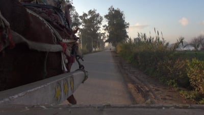 The film takes viewers on a journey to the various cities, towns and villages on the Nile Delta’s triangle. Courtesy Sharief Zohairy