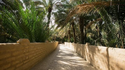 Al Ain Oasis. Courtesy CCI