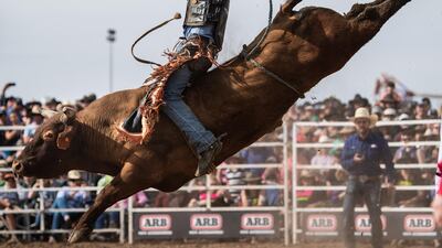 A bull rider in action at the 2019 Deni Ute Muster in Deniliquin, Australia. Getty