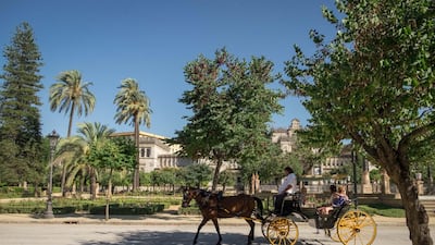 Tourists enjoy a horse and carriage ride through Seville
