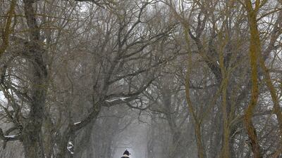 A woman braves the wind driven snow in an avenue on the outskirts of Minsk, Belarus. Sergei Grits / AP Photo