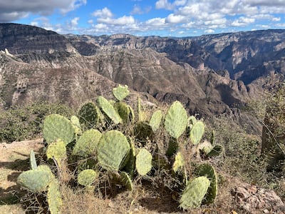 Spectacular vistas from the Copper Canyon. Photo: John Brunton
