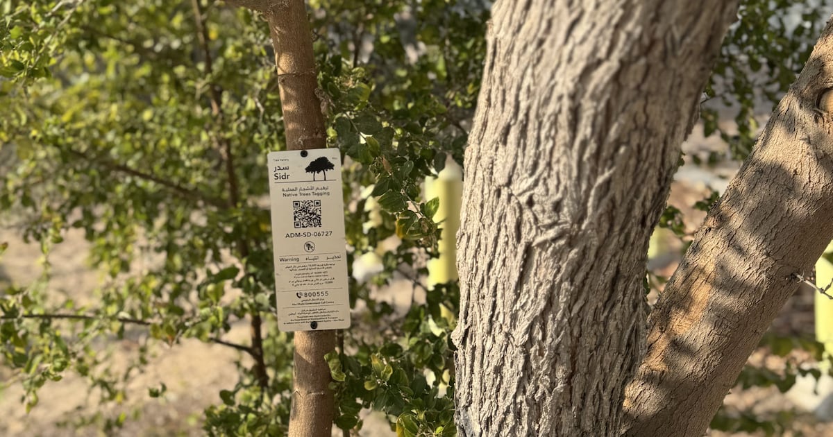 Tree Tagginglogging Abu Dhabi’s tree-tagging programme is about more than the environment ...