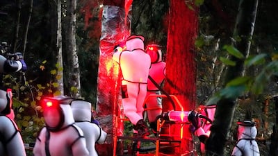 Washington State Department of Agriculture workers vacuum a nest of Asian giant hornets discovered in a tree. AP Photo