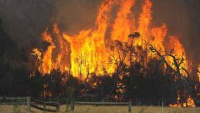 At least 173 people died in the fires at the weekend and the death toll is expected to rise further as emergency crews comb the disaster area.