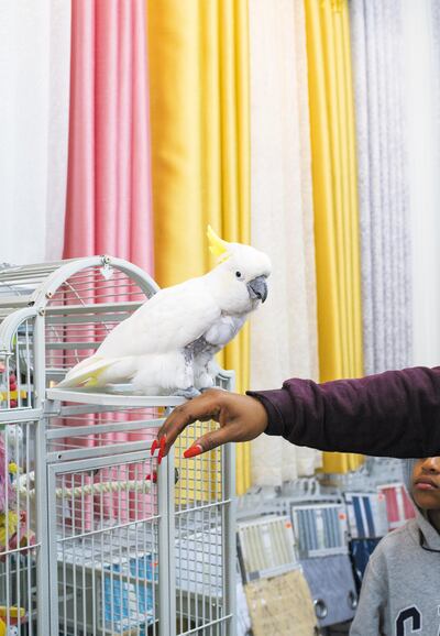 The images will be on display across New York. Courtesy Farah Al Qasimi