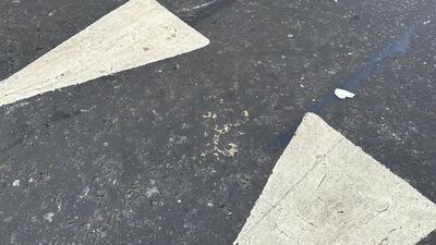 Scratches on the road on Lower Belgrave Street in Victoria at the spot where a witness says the horses lost control. Gillian Duncan / The National