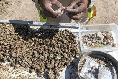 Workers sift through the remains of artefacts from excavated soil in November 2017. Antonie Robertson / The National