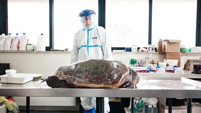 Paola Lai, Italy, Shortlist, Professional competition, Wildlife & Nature, Sony World Photography Awards.