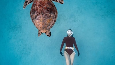 Thien Nguyen Ngoc, Vietnam, winner, National Awards, Sony World Photography Awards 2023