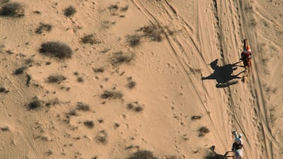 It was a major milestone for a country that had only introduced the sport six years earlier, under the leadership of its Founding Father, the late Sheikh Zayed bin Sultan Al Nahyan