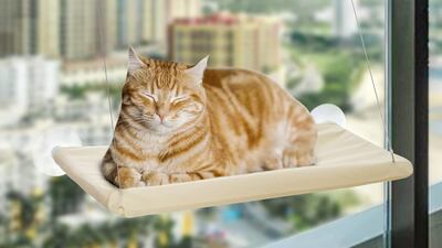 Mrimaya Cat Bed XL, Dh42.29, Amazon.ae. Photo: Mrimaya