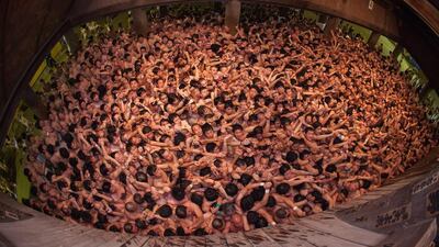 Men in loincloths participate in the Hadaka Matsuri, or Naked Festival, at Saidaiji Temple in Okayama, Japan, on February 15, 2014. Some 9,000 men battle to grab a pair of lucky sticks thrown by priests. Trevor Williams / Getty Images