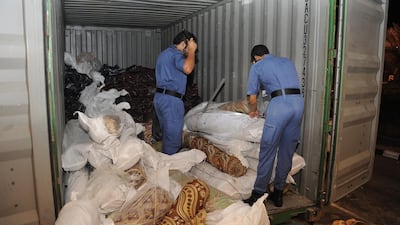 Customs officials in Dubai carried out 540 drug seizures in just six months. Courtesy Dubai Customs