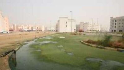 Floods recede in International City.