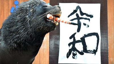 Sea lion 'Leo' poses after writing the characters for the new era name "Reiwa" during a performance for assembled journalists and park visitors at Hakkeijima Sea Paradise in Yokohama, suburban Tokyo. AFP