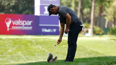 Puerto Rican golfer Rafael Campos feeds a squirrel during the Valspar Championship in Palm Harbour, Florida. AFP