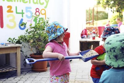 The school has recently assigned space for a herb garden