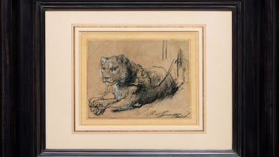 Rembrandt's Young Lion Resting will be exhibited in Abu Dhabi and Riyadh prior to its auction in New York. Photo: Sotheby's