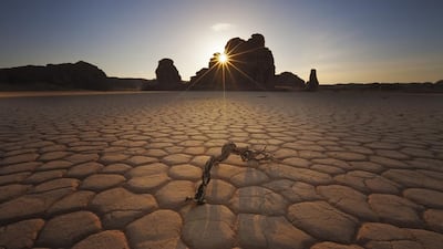 Never Surrender by Mohamed Al Jaberi. Courtesy Grand Hyatt Dubai