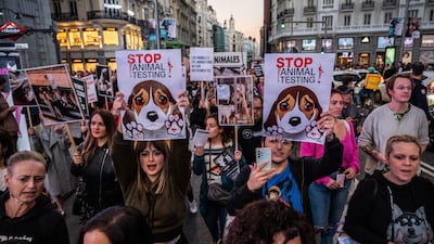 Protesters in Madrid call for an end to animal testing. The procedures include the force-feeding of chemicals for toxicity testing and exposure to infectious diseases, activists say. Getty Images