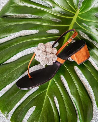 A mid-heel shoe from Giuseppe Zanotti.