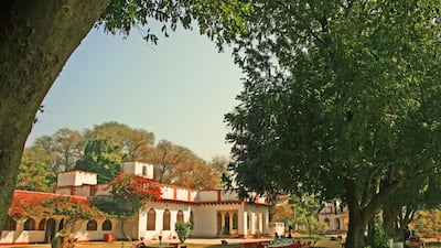 The Lodge’s river safaris typically operate during early mornings and late afternoons, the best times for spotting wildlife, especially birds – the NCS has about 200 species. Courtesy: Chambal Safari Lodge