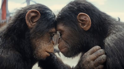 Owen Teague stars as Noa, right, in Kingdom of the Planet of the Apes. Photo: 20th Century Studios