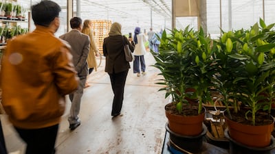 The UAE delegation visits horticulture companies in the Netherlands as part of efforts to improve agritech and educational co-operation. Photo: Rolf van Koppen