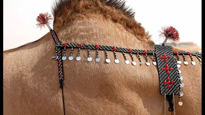 Camel bling, both traditional and modern worn by camels and sold buy merchants at the Al Dhafra Festival outside Abu Dhabi.