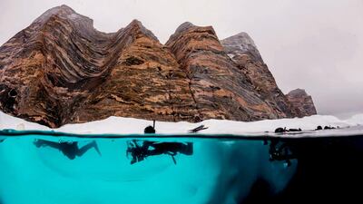 A group of divers snorkelling in the Arctic. Mick Valos / Wildestanimal