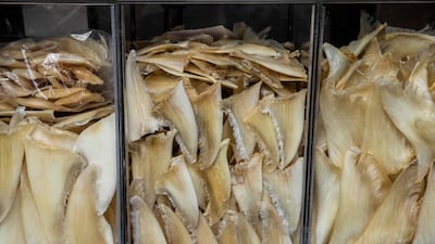 Shark fins are displayed for sale at a market in Hong Kong. AFP
