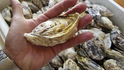 Spinneys sells fresh Dibba Bay oysters