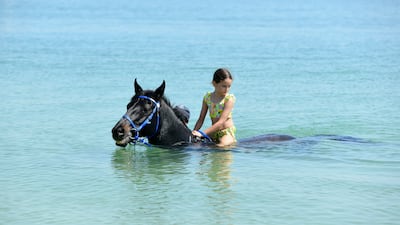A young girl swimming with a horse